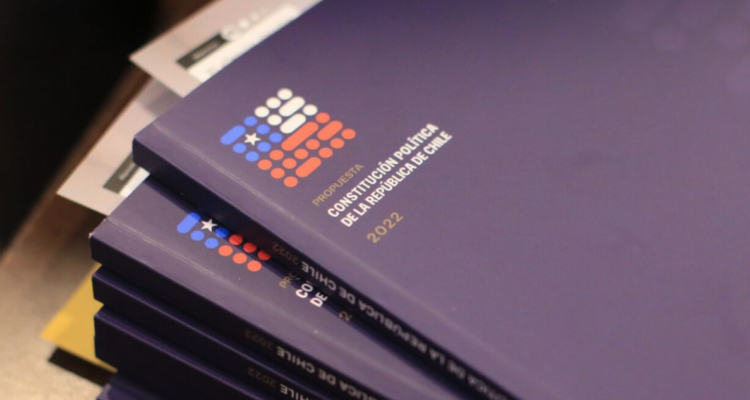 nueva constitucion