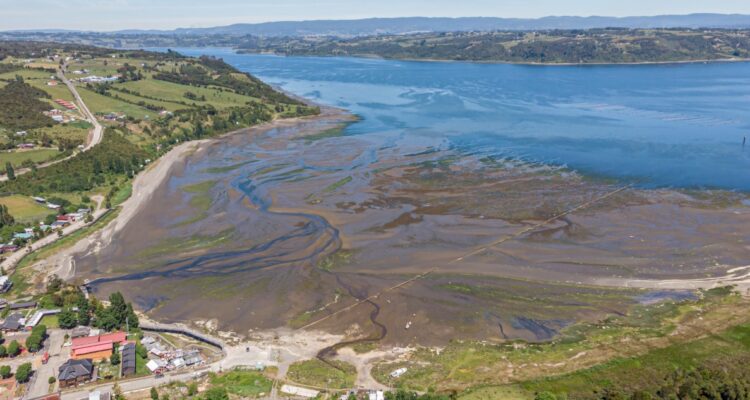 Nuevo Santuario de la Naturaleza Curaco de Velez