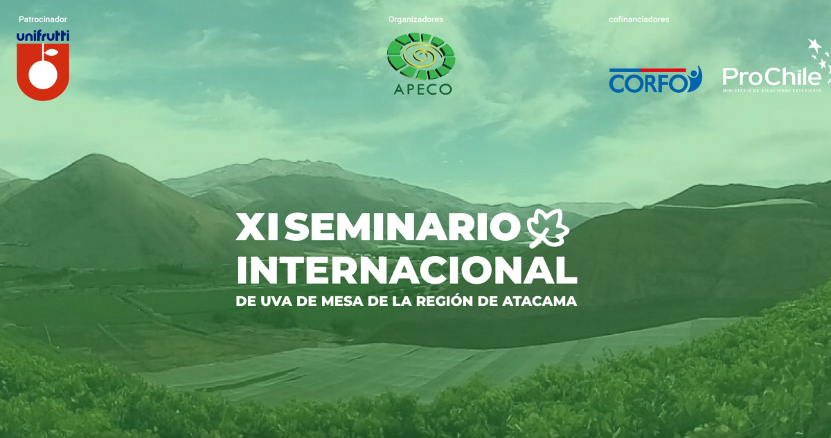 Captura de pantalla | XI Seminario Internacional de Uva de Mesa de la Región de Atacama.