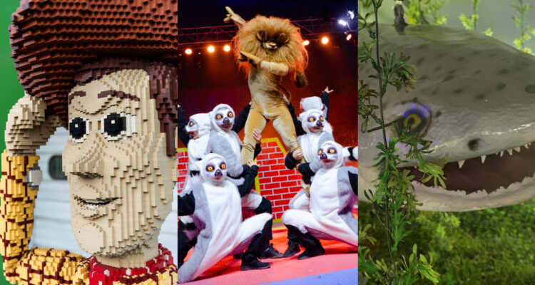 Panoramas vacaciones de invierno