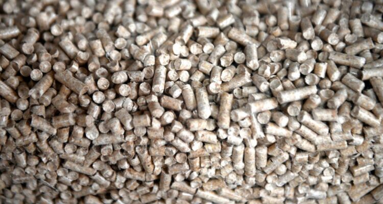 Osorno Plan de Descontaminación