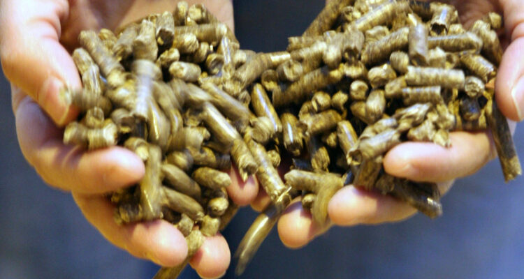 Cuestionan plan de recambio de calefactores ante escasez de pellet en Osorno