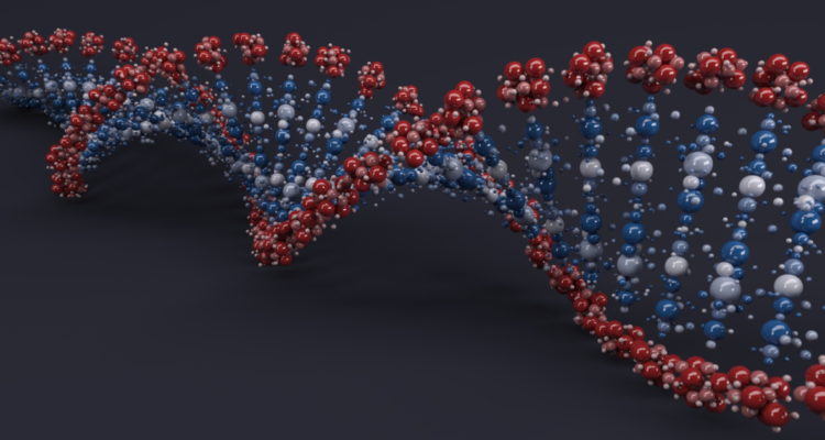 perdida-cromosa-y-hombres
