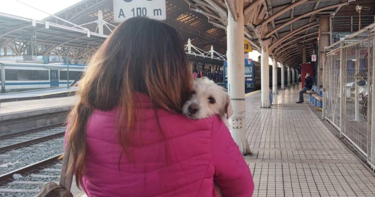 EFE Nos perro