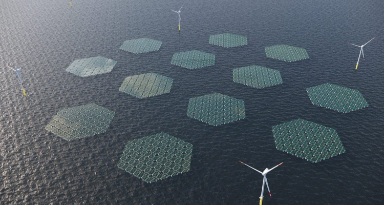 Proyecto de paneles como alfombras mar