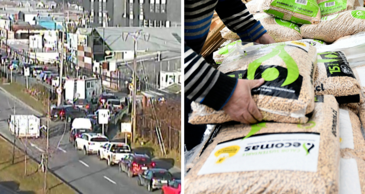 Puerto Montt: por falta de escasez de pellet analizan opciones para dejar de depender de forestales