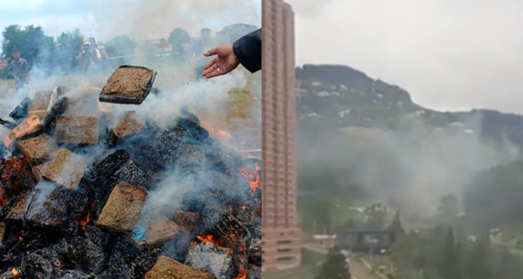 Quema de marihuana en Colombia