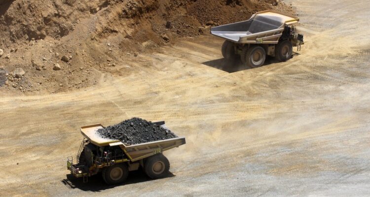 Minera Vizcachitas Holding