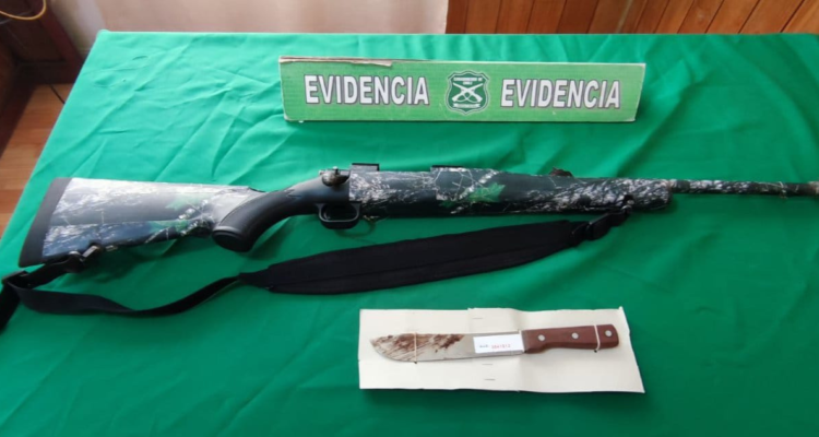 Robo de animales en Pemuco terminó con persecución policial: hay cuatro detenidos