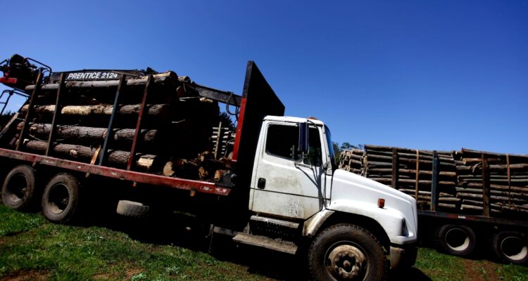 aprueban comisión investigadora por robo de madera