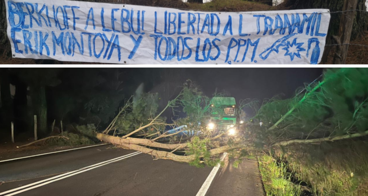Cortan árbol en la Ruta de la Madera y dejan lienzos alusivos a la liberación de presos mapuches.