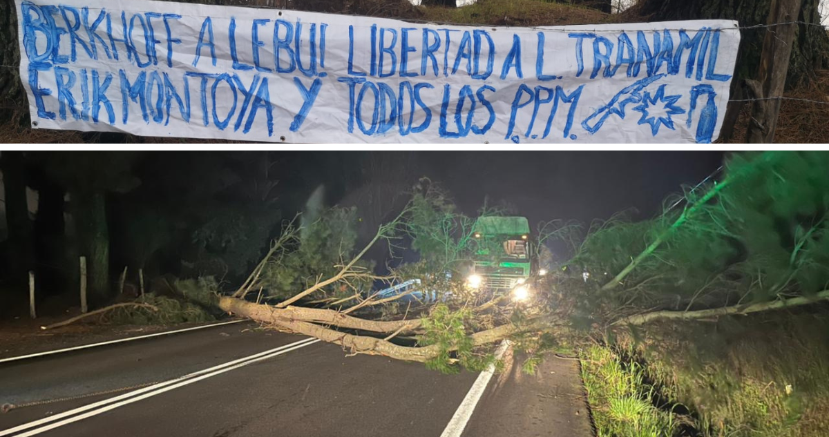 Cortan árbol en la Ruta de la Madera y dejan lienzos alusivos a la liberación de presos mapuches.
