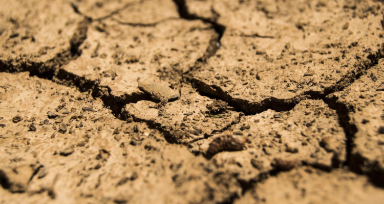 sequía y desertificaciones