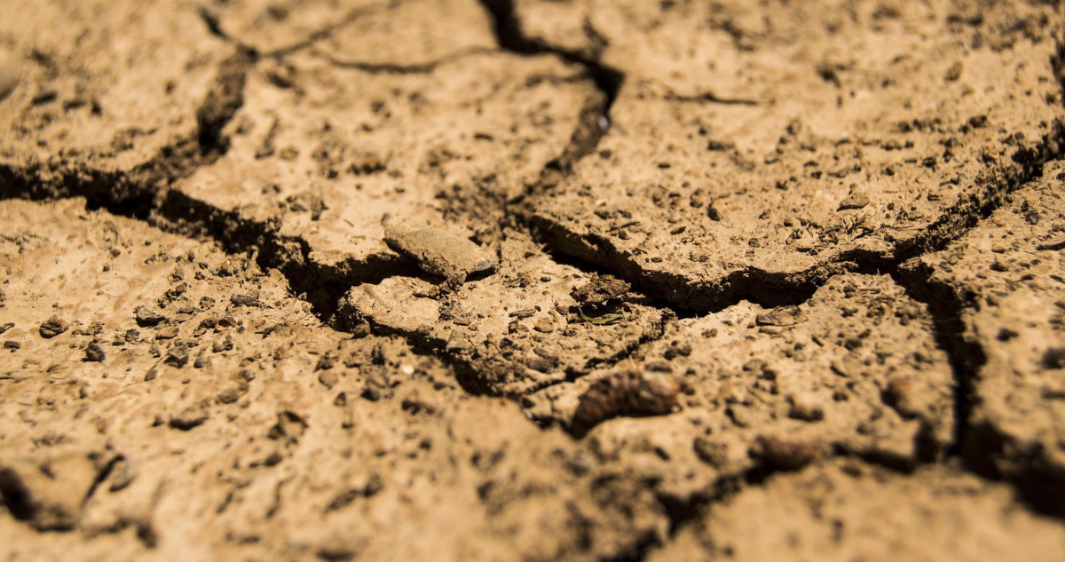 sequía y desertificaciones