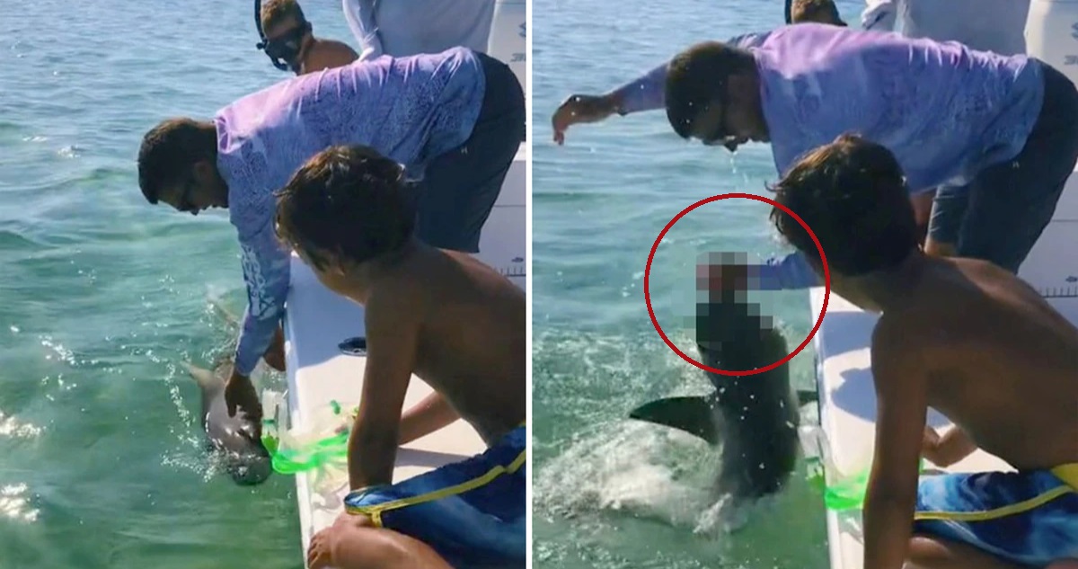 tiburón muerde a pescador