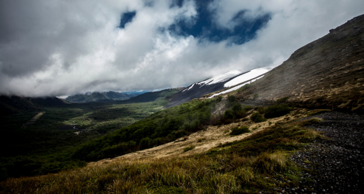 SMA investiga 944 loteos en Parque Nacional Puyehue: el 38% está dentro del área protegida
