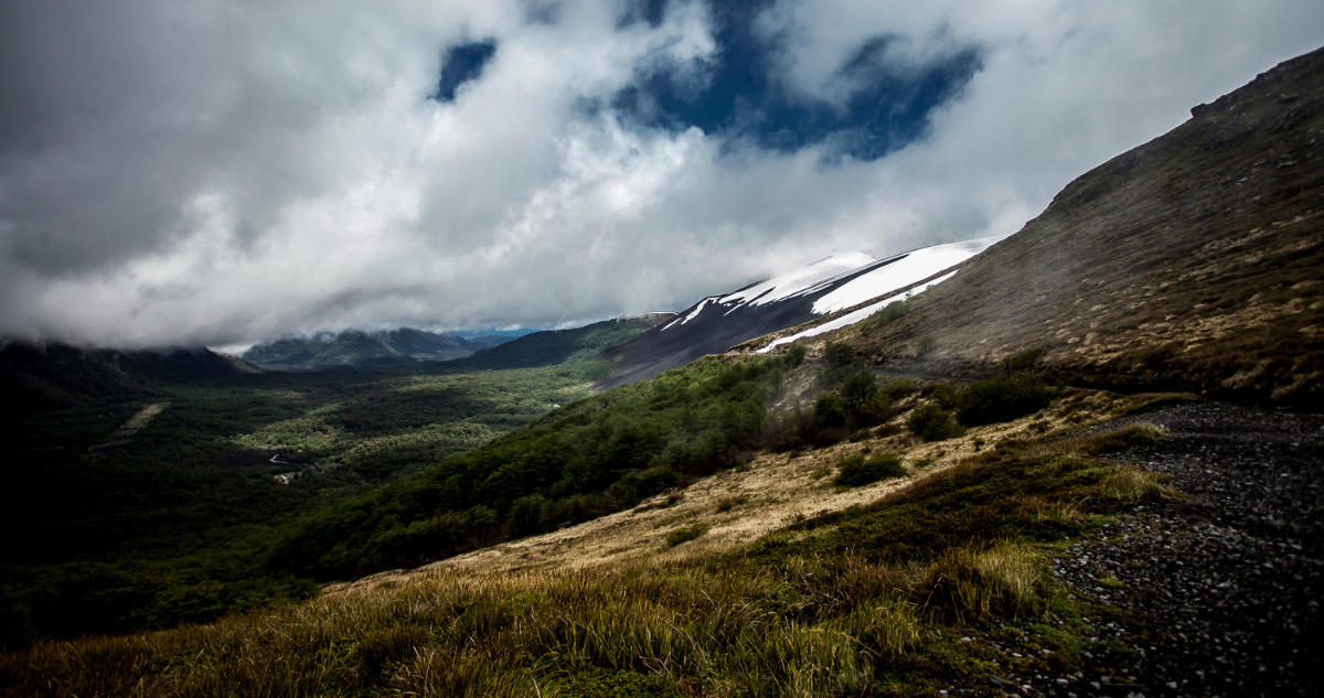SMA investiga 944 loteos en Parque Nacional Puyehue: el 38% está dentro del área protegida