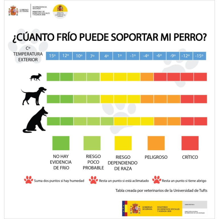 tabla-temperaturas-perros-gobierno-espana