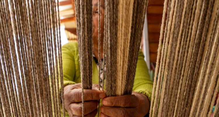 tradición del telar mapuche