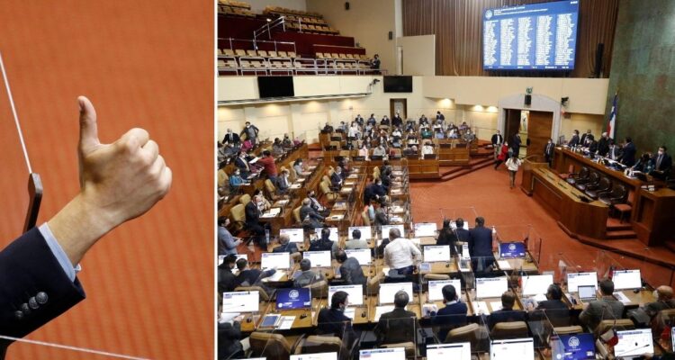 test droga diputados