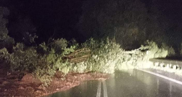 Tras desprendimiento de árboles y tierra: ruta Puerto Varas-Ensenada está parcialmente habilitada