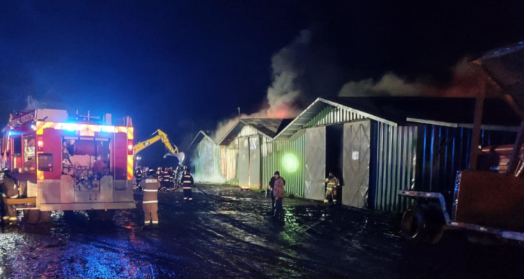 $3 mil millones en pérdida dejó incendio en Río Bueno: Fiscalía investiga intervención de terceros