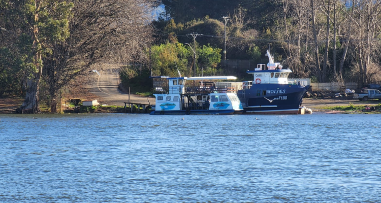 Proyecto que contempla el paso de vehículos bajo el río Valdivia avanza en la Contraloría.