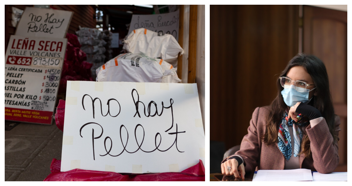 Ministra Vallejo descarta desabastecimiento de pellet y pide evitar acaparamiento en Osorno