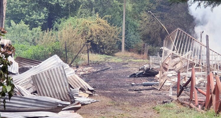 Bío Bío víctimas violencia