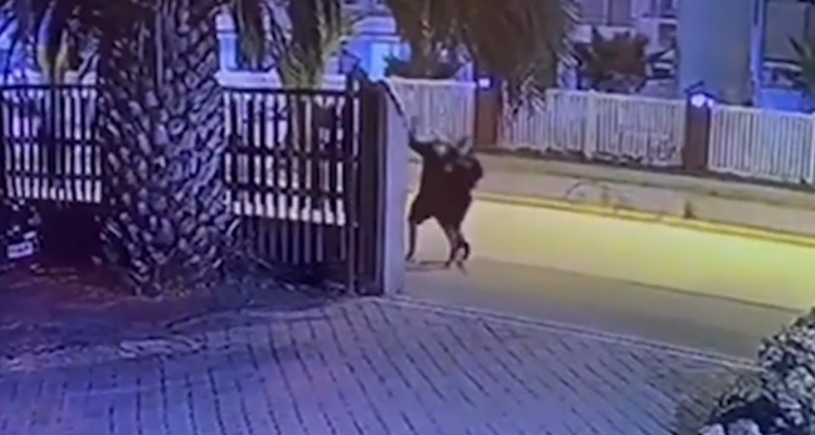 Video muestra agresión a sangre fría contra adolescente en La Serena: fue baleado en la cabeza