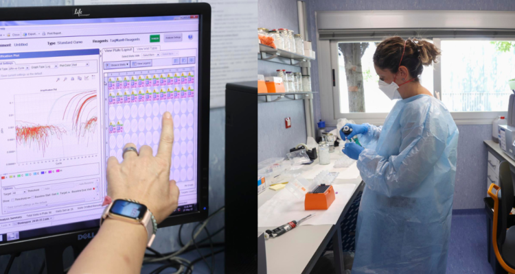 viruela-del-mono-enfermedad-transmision-sexual-ets