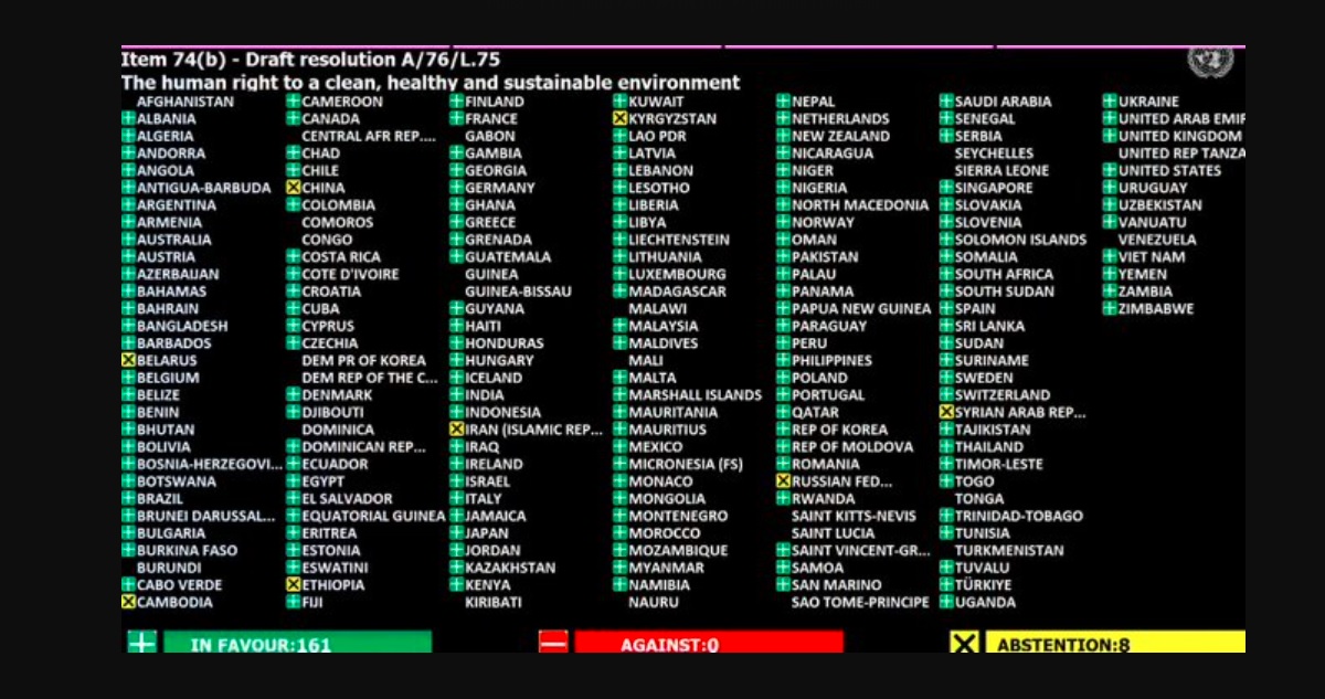 Votación Pleno ONU