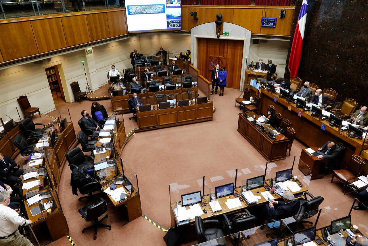 Senado