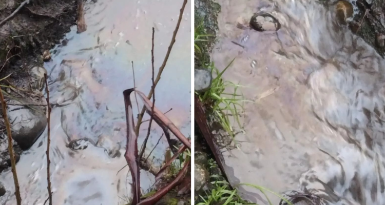 Denuncian nueva contaminación en Río Rahue de Osorno: comprobaron presencia de hidrocarburo