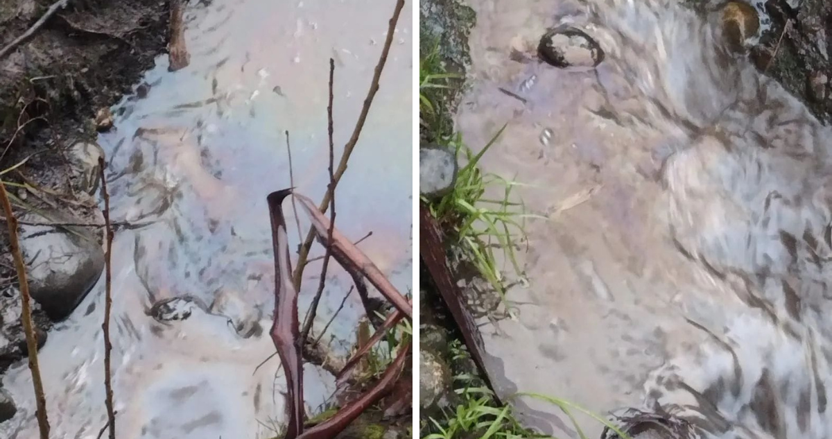 Denuncian nueva contaminación en Río Rahue de Osorno: comprobaron presencia de hidrocarburo