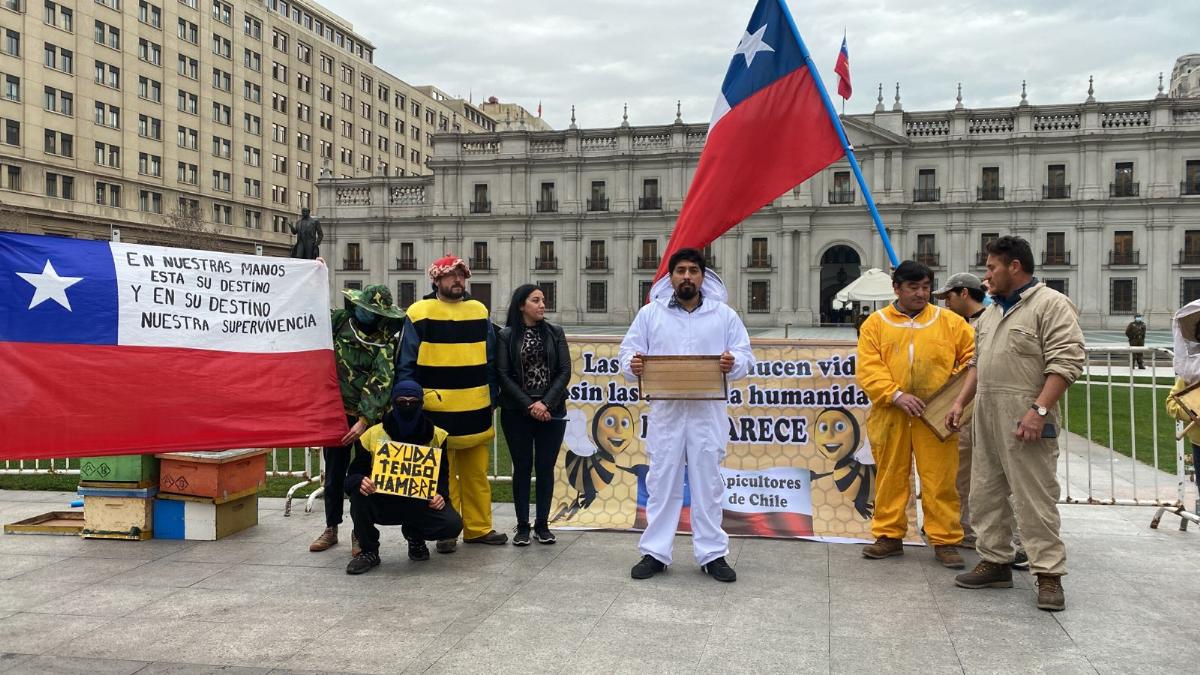 "Se están muriendo las abejas": apicultores protestan en Santiago y llegaron hasta La Moneda