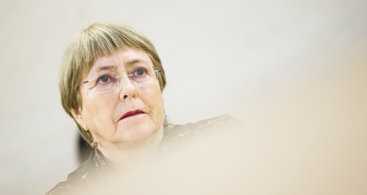 bachhelet – assange