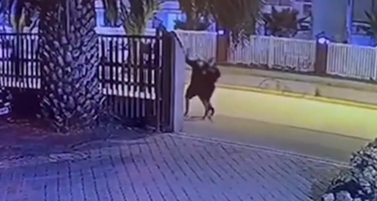 autor baleo adolescente muerto