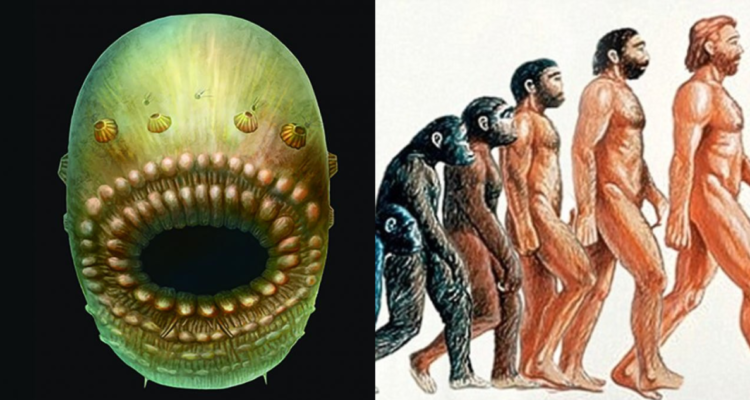 Bestia origen humano