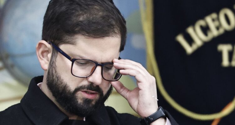 Boric opinión plebiscito