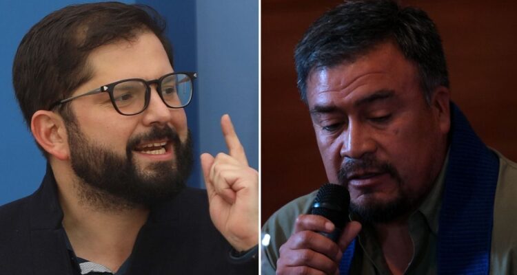 boric renuncia vega