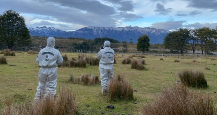 búsqueda hombre Última Esperanza