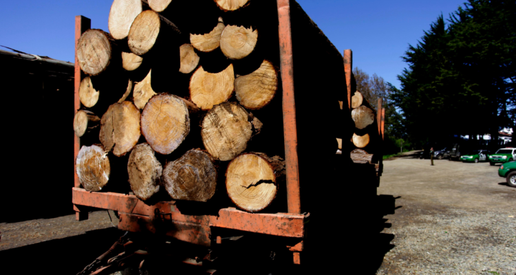 camión con madera robada en triguén