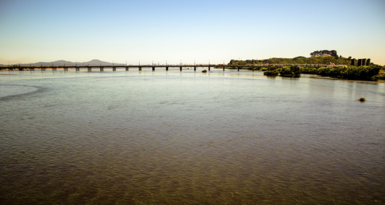 Canalistas Mulchén exigen medidas ante robos