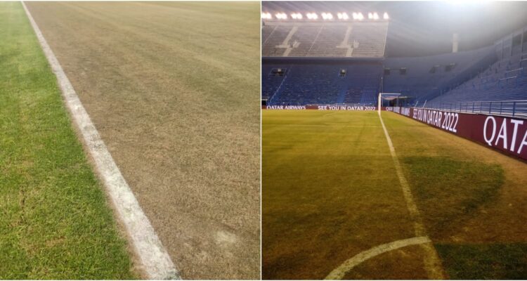 Estadio José Amalfitani