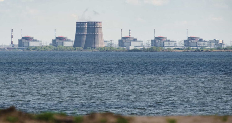 La central nuclear en el foco de la discordia.