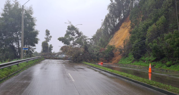 Sernageomin recomienda no intervenir parte del cerro que cayó y complica el tránsito en Chiguayante.