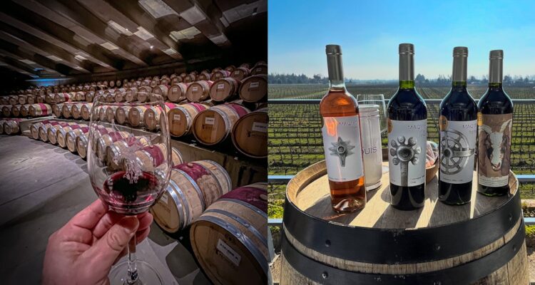 Comer rico y tomar buen vino muy cerca de Santiago: los encantos de la región de O’Higgins