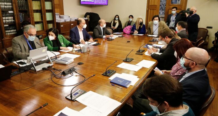 Comisión cámara constitución