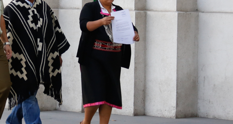 Comunidad indígena de Los Lagos pide a La Moneda revisar Ley Lakfenche y ser incluidos en uso de Bor